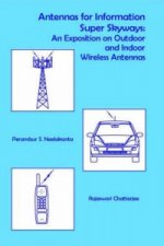 Antennas for Information Super Sky-ways