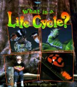 What is a Life Cycle?