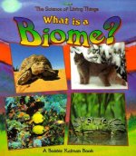 What is a Biome?