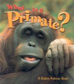 What Is A Primate