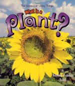 What is a Plant?