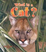 What is a Cat?