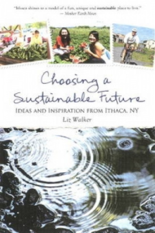 Choosing a Sustainable Future