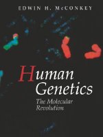 Human Genetics