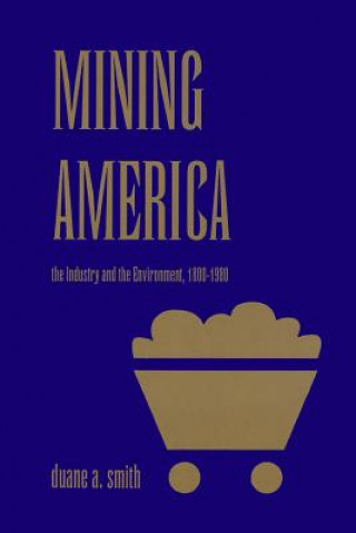 Mining America