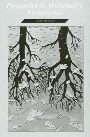 Perspectives in Whitehead's Metaphysics