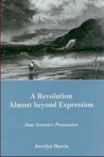 Revolution Almost Beyond Expression