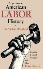 Perspectives on American Labour History