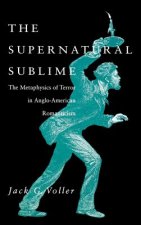 Supernatural Sublime