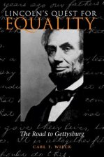 Lincoln's Quest for Equality