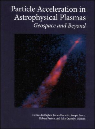 Particle Acceleration in Astrophysical Plasmas - Geospace and Beyond
