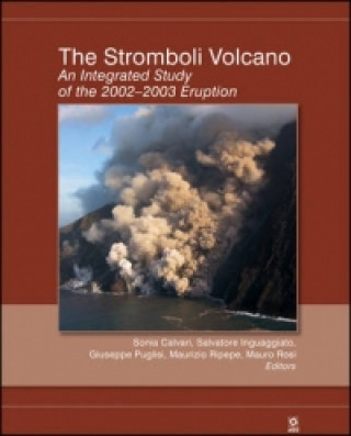 Stromboli Volcano - An Integrated Study of the 2002-2003 Eruption, Geophysical Monograph 182
