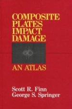 Composite Plates Impact Damage