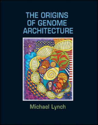 Origins of Genome Architecture