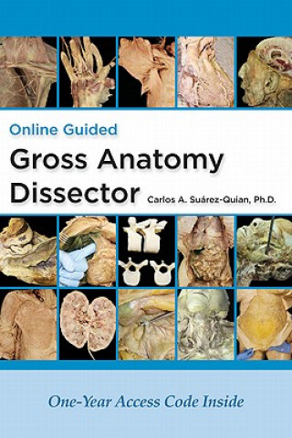 Online Guided Gross Anatomy Dissector
