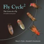 Fly Cycle 2