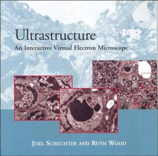 Ultrastructure