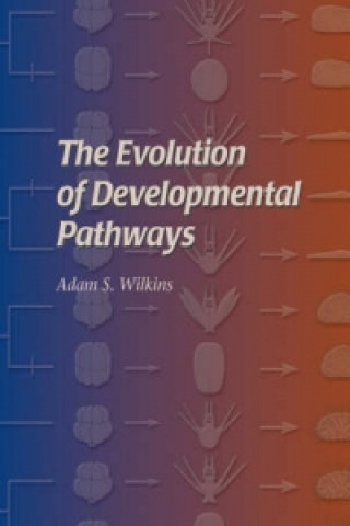 Evolution of Developmental Pathways