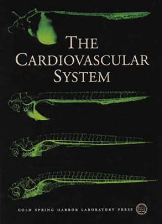 Cardiovascular System