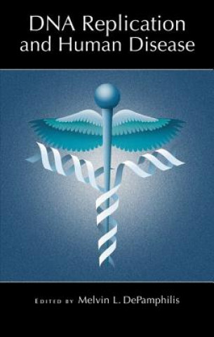DNA Replication and Human Disease