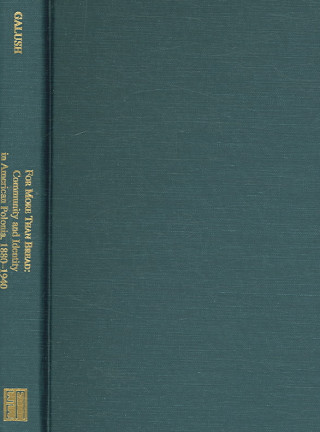 For More Than Bread - Community and Identity in American Polonia, 1880-1940