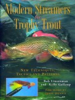 Modern Streamers for Trophy Trout