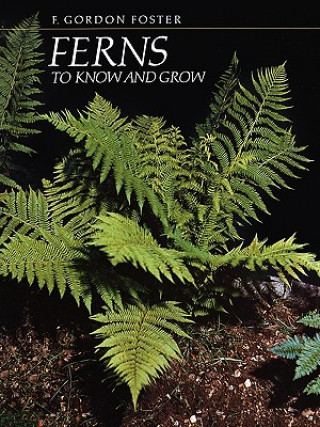 Ferns to Know and Grow