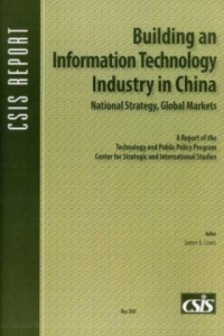Building an Information Technology Industry in China