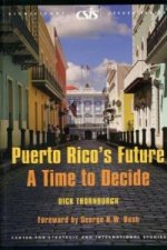 Puerto Rico's Future