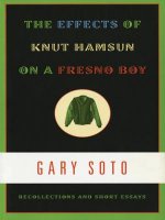 Effects of Knut Hamsun on a Fresno Boy