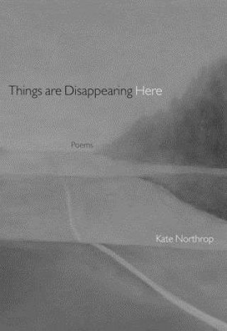 Things are Disappearing Here