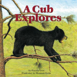 Cub Explores