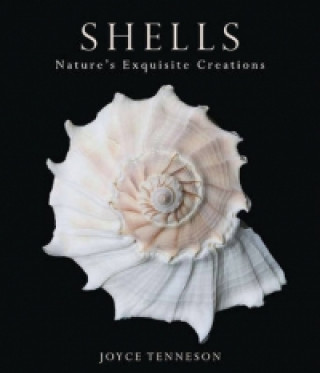 Shells