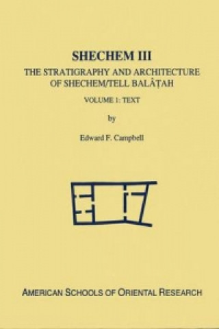 Shechem III