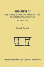Shechem III
