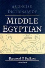 Concise Dictionary of Middle Egyptian