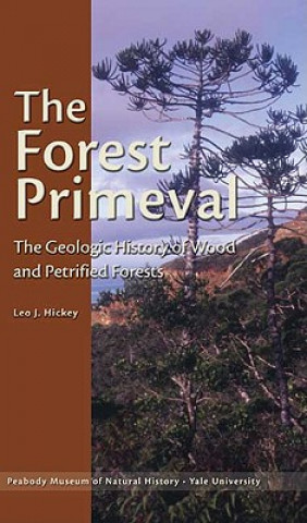 Forest Primeval - The Geologic History of Wood and Petrified Forests