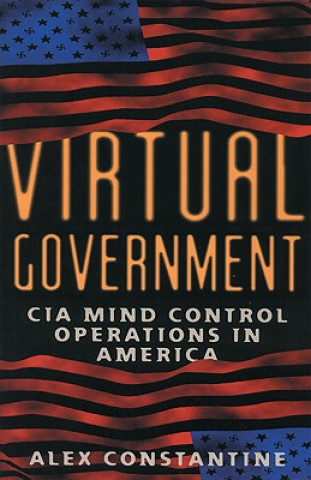 Virtual Government