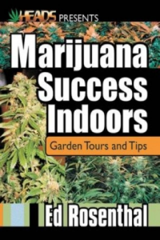 Marijuana Success Indoors