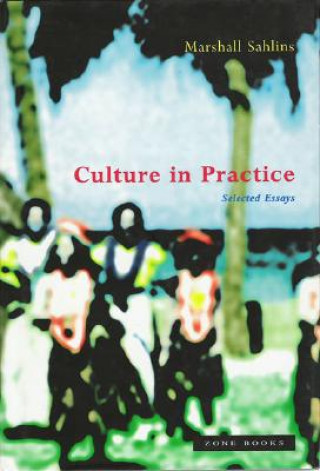 Culture in Practice - Collected Essays