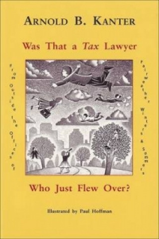 Was That A Tax Lawyer Who Just Flew Past My Window?