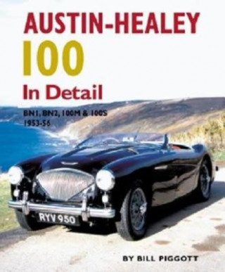 Austin Healey 100 In Detail