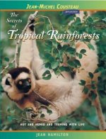Secrets of Tropical Rainforests