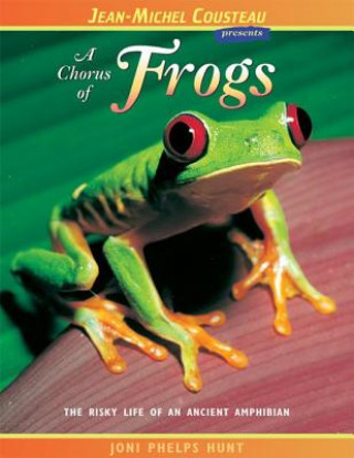 Chorus of Frogs