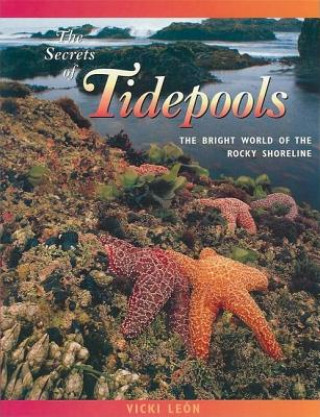 Secrets of Tidepools