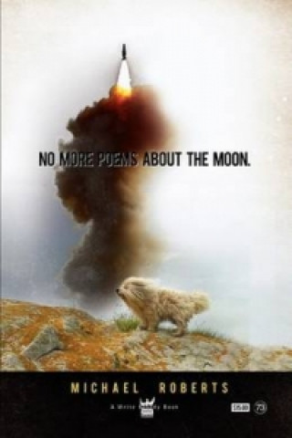No More Poems About The Moon