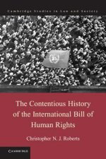 Contentious History of the International Bill of Human Rights