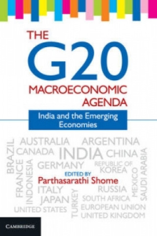G20 Macroeconomic Agenda