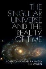Singular Universe and the Reality of Time