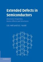 Extended Defects in Semiconductors